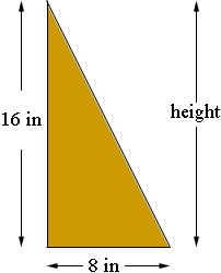 Height of A Triangle 