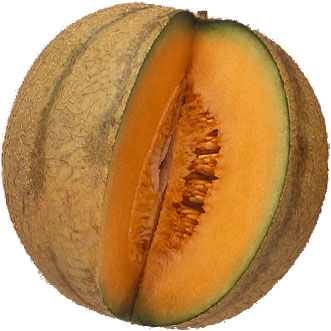 mellon